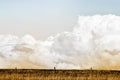 A Texas Big Sky2