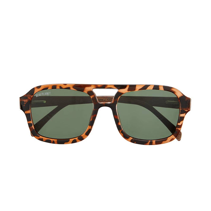 Ari Brown Tort / Walnut Wood / Grey Green Pol