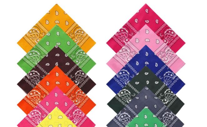 BD35 Assortment of 12 Bandanas