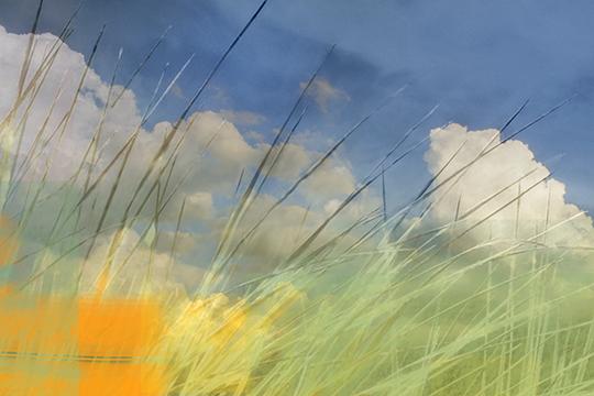 Big Sky