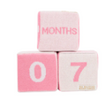 Blaylock Blocks-Palm Pink/White