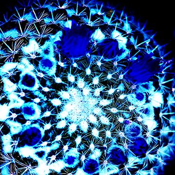 BlueBlood