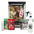 Complete Crested Gecko Kit