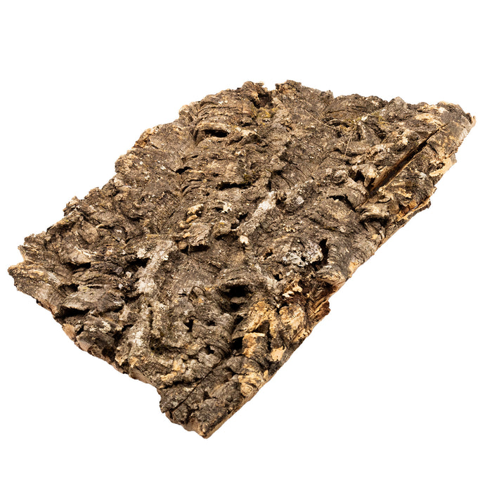 Pangea Cork Bark Flat large isolated on a white background