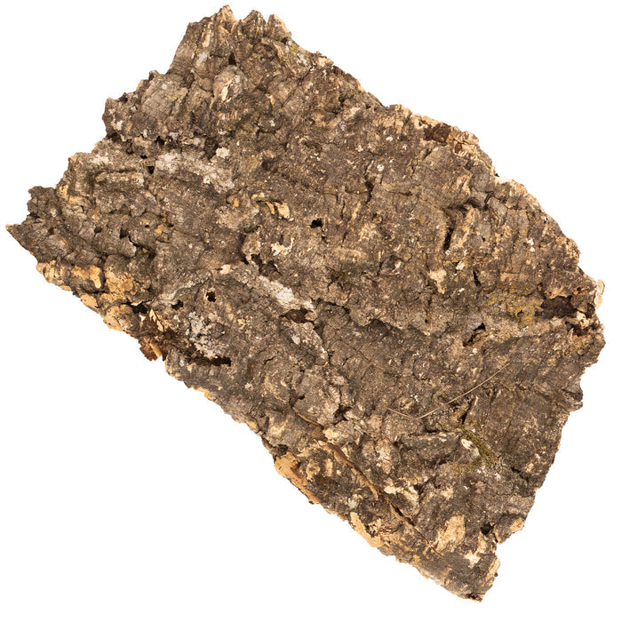 Pangea Cork Bark Flat extra large shown on a white background