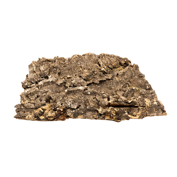 Pangea Cork Bark Flat large from side shown on a white background