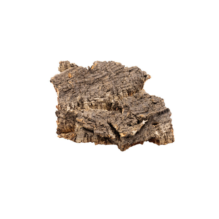 Pangea Cork Bark Flat Small on a white background