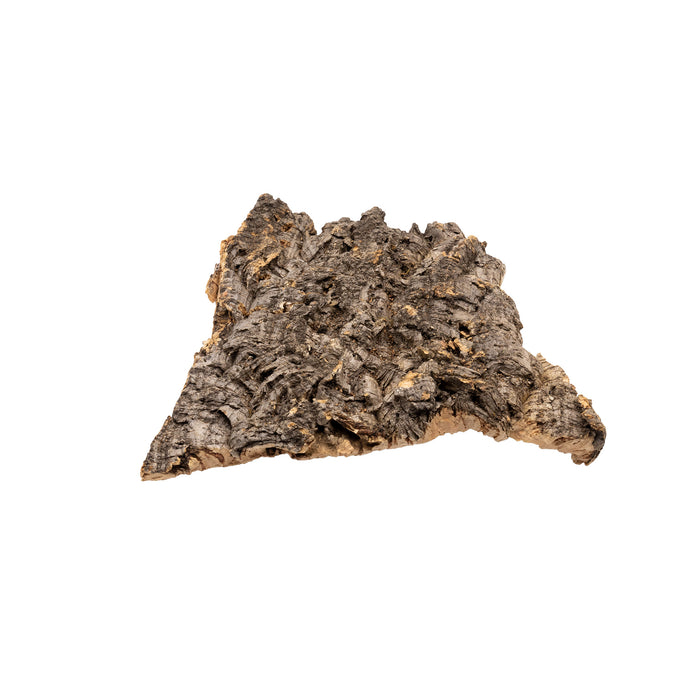 Pangea Cork Bark Flat small on a white background