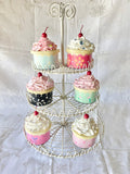 Cupcake Boxes
