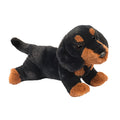 Douglas - Dottie Dachshund Soft