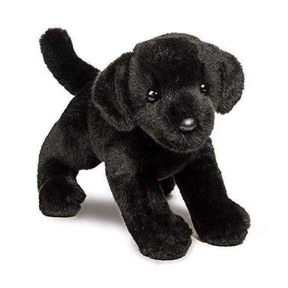 Douglas - Ghoulie Black Lab
