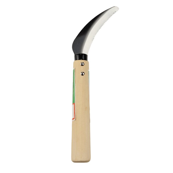 Sickle Garden tool for pruning lavender on white background