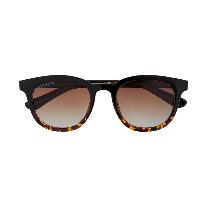 Gram  - Onyx To Walnut Tortoise Fade / Gradient Br
