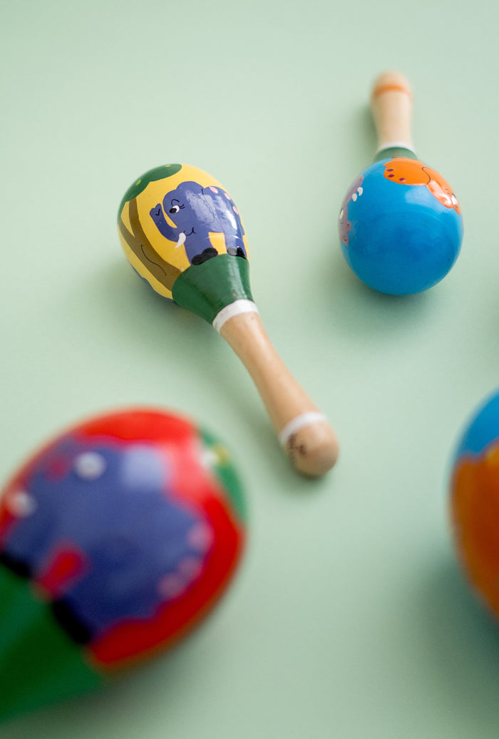 Hand Painted Wacky Animal Shaker Toy