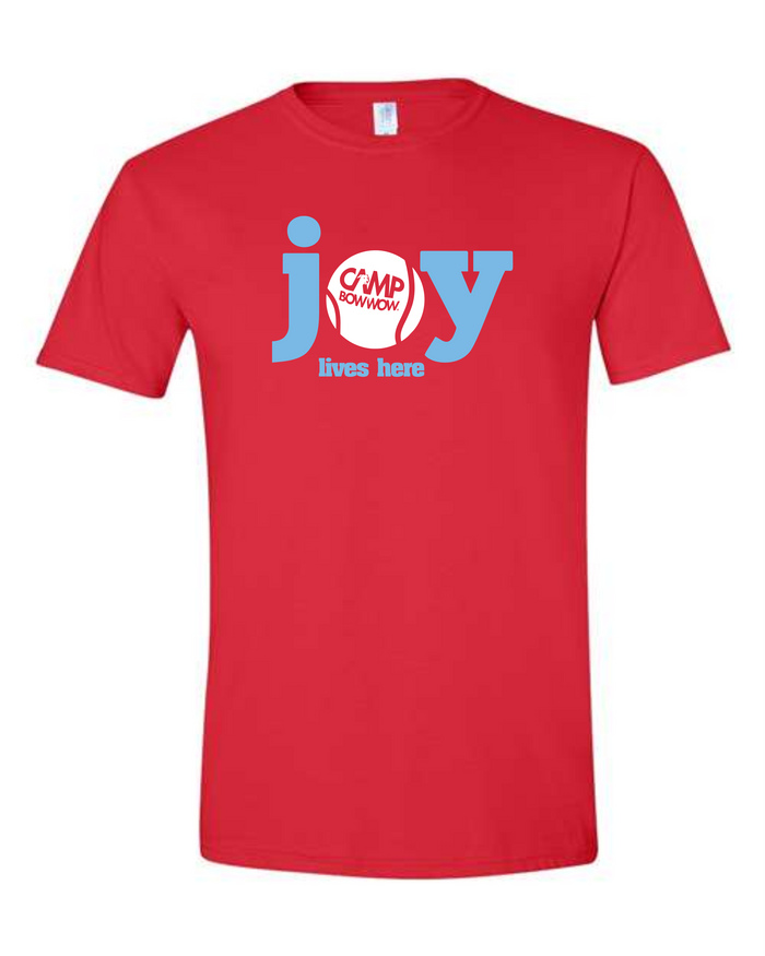 Joy Lives Here Tee