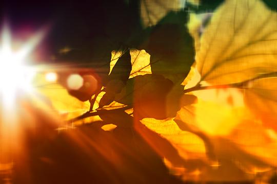 Light Travel 4