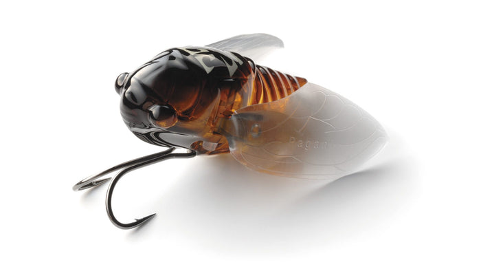 megabass-grand-siglett-cicada-cover