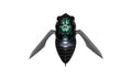 megabass-grand-siglett-cicada-min-min-zemi-primary