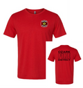 Next Level Triblend Tee