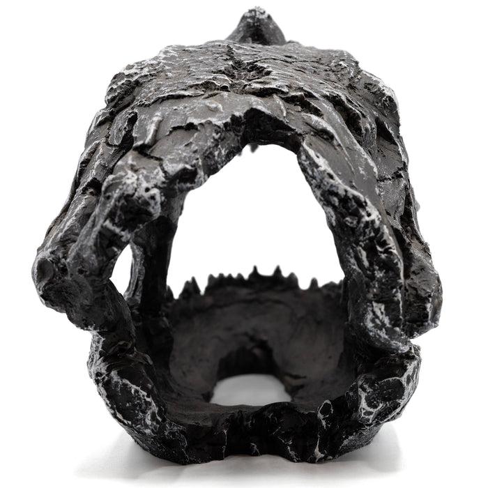 Pangea Dinosaur Skull Reptile Hide