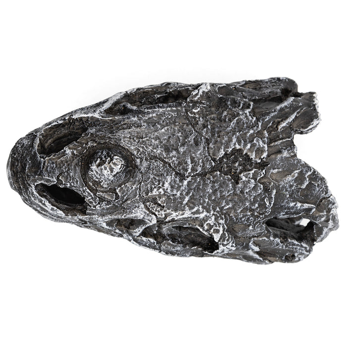 Pangea Dinosaur Skull Reptile Hide