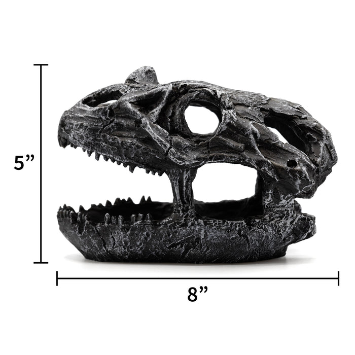 Pangea Dinosaur Skull Reptile Hide