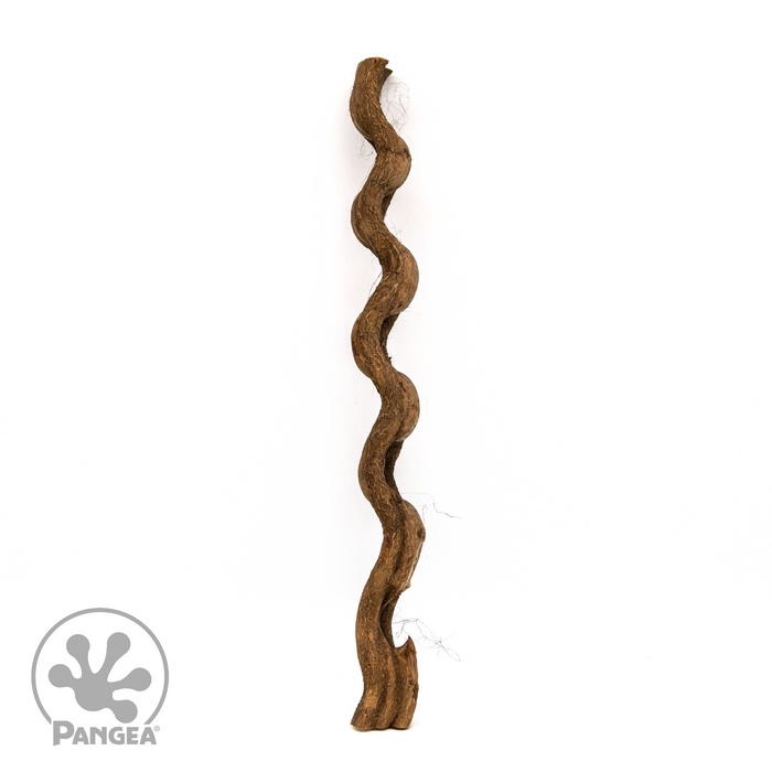 Pangea Jungle Wood