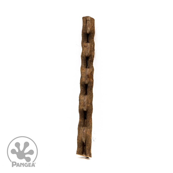 Pangea Jungle Wood