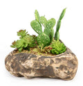 Pangea Succulent Garden #4 - prickly pear cactus