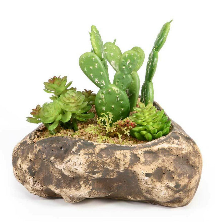 Pangea Succulent Garden #4 - prickly pear cactus