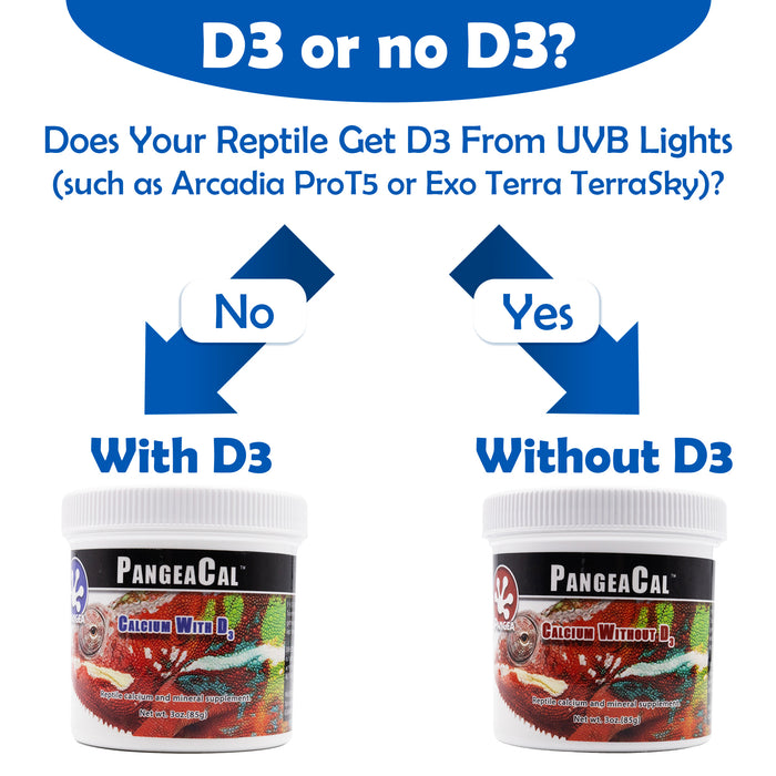PangeaCal Calcium with D3