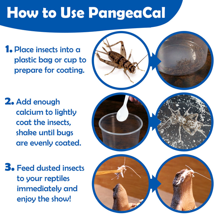 PangeaCal Calcium with D3