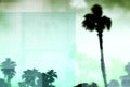 Paradise Cove 6