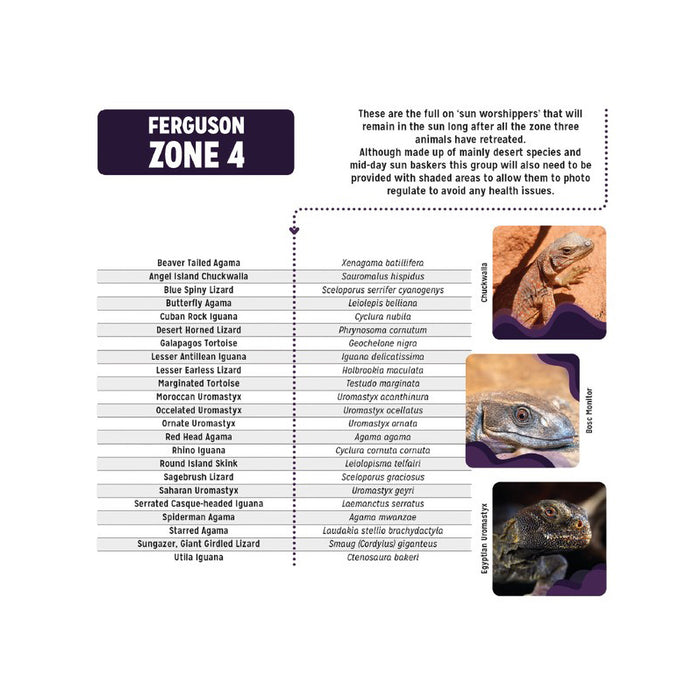 Reptile Systems 15% UVB  - Zone 4 - T5 Bulb