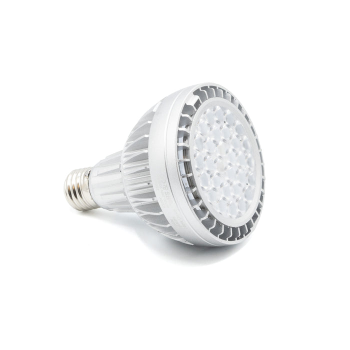 25w bulb