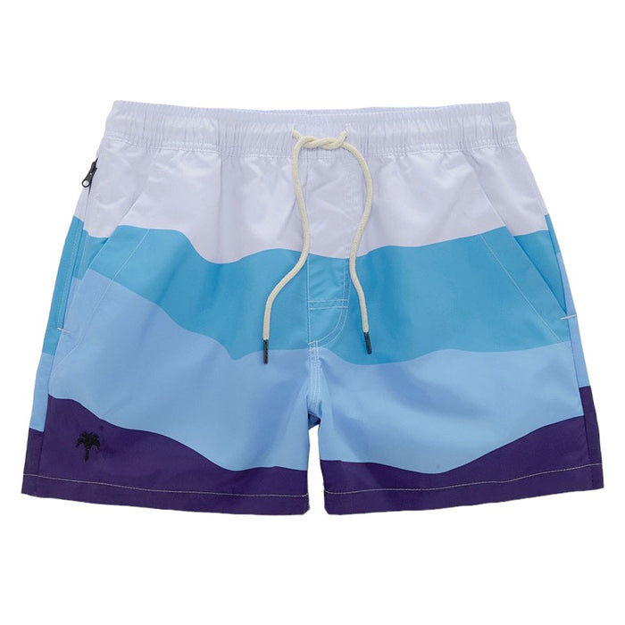Swim Shorts - Ice Wave