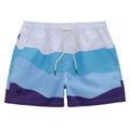 Swim Shorts - Ice Wave