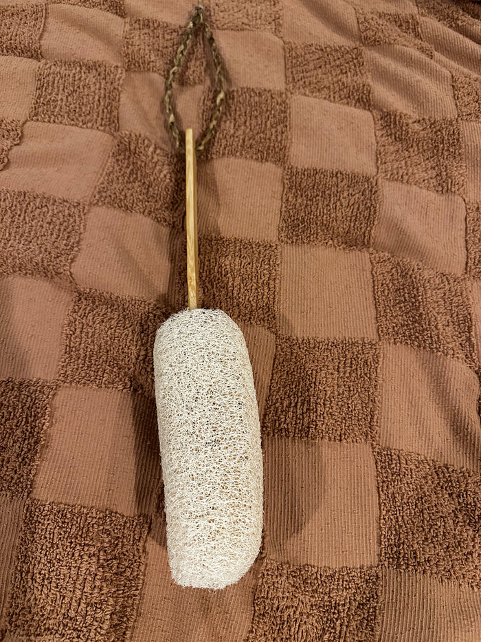 The Luffa Box