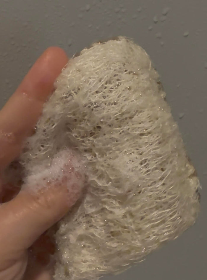 The Luffa Box